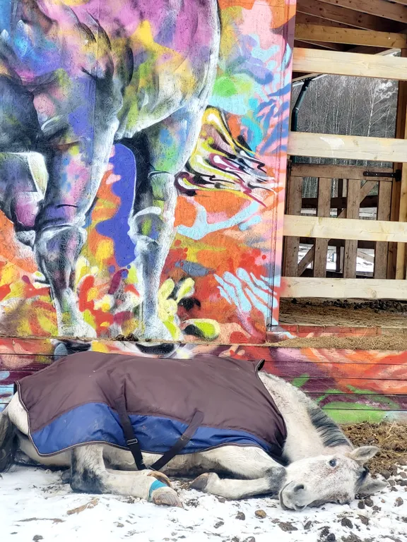 Уютный домик на семейной экоферме