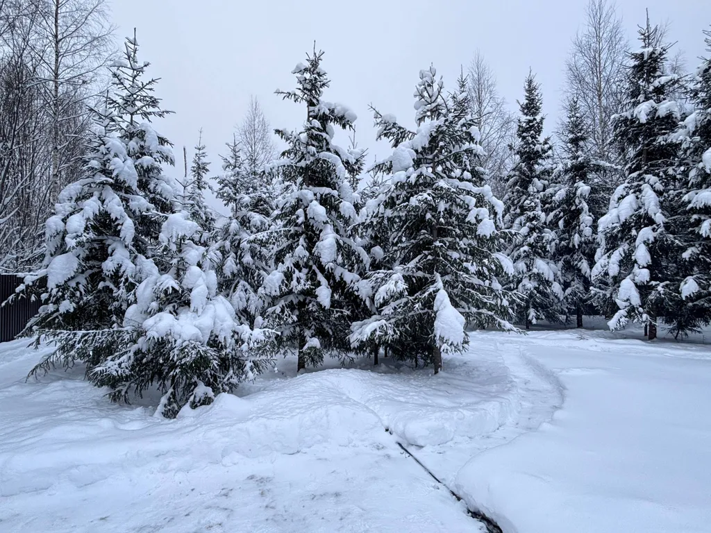 Уютный дом барн в лесу