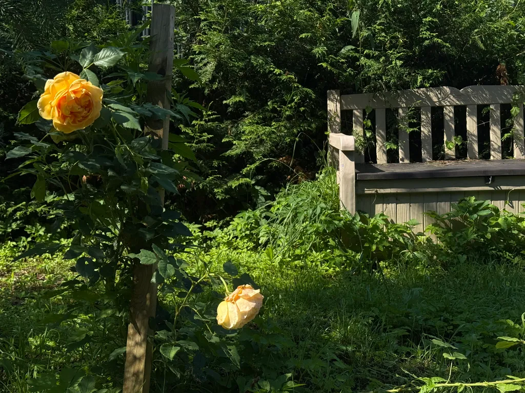 Дом с баней на Истринском водохранилище