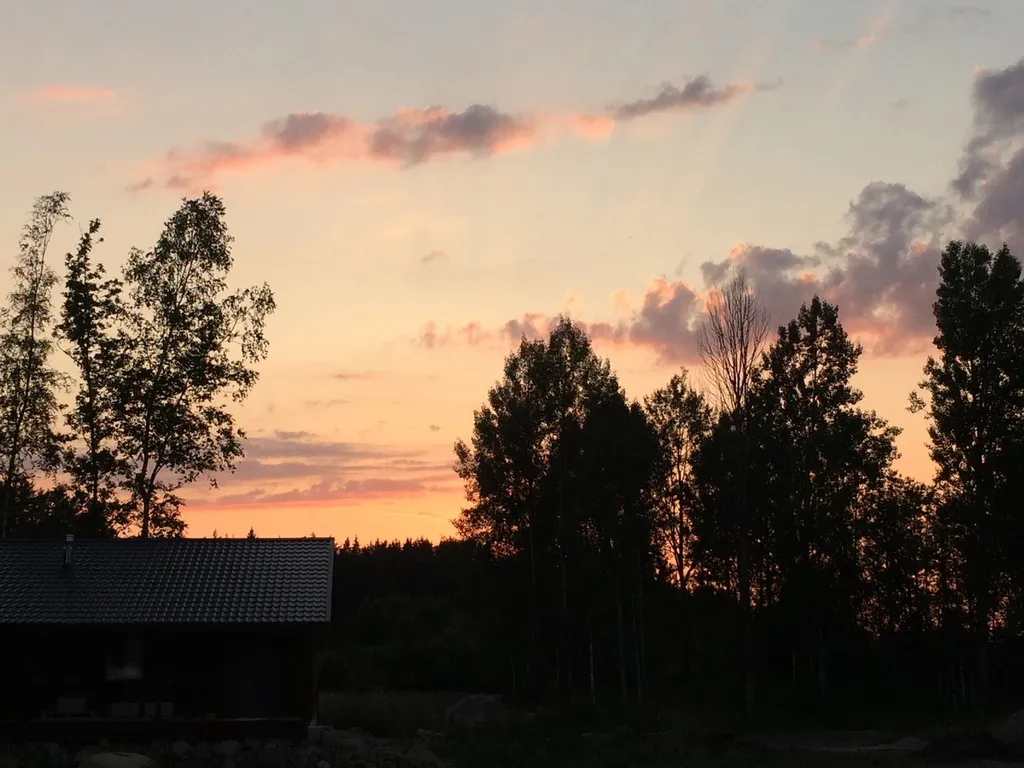 Загородный дом в лесу на Финском заливе