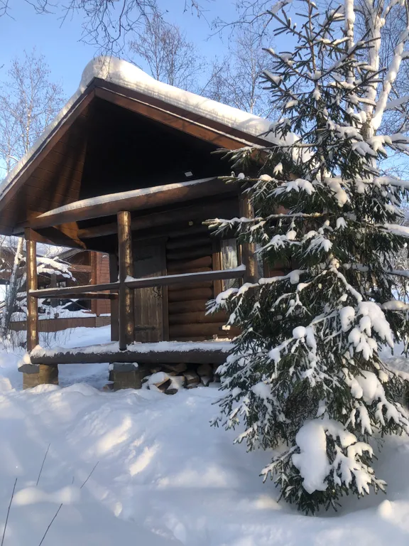 Деревянный дом у озера