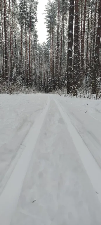 Уютный дом в сердце курорта Коприно
