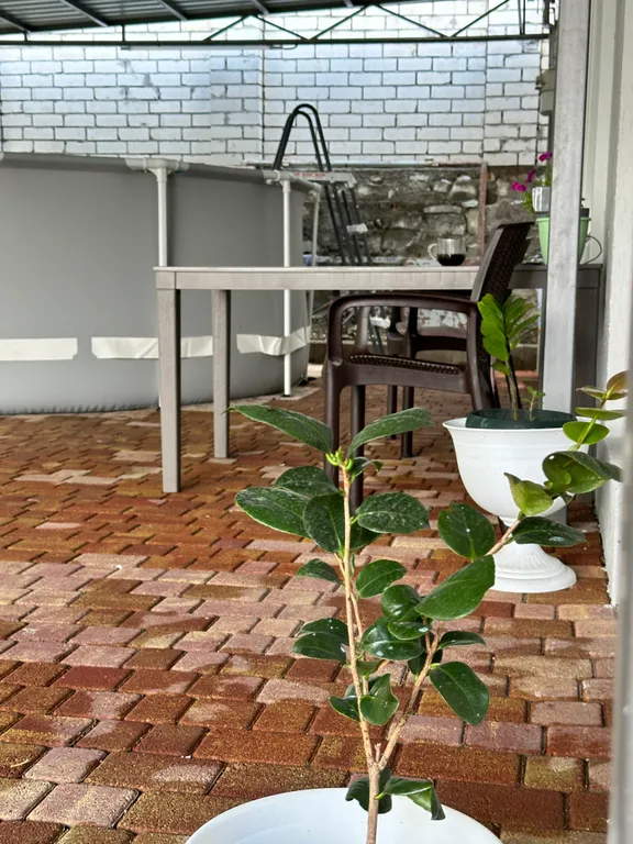 Уютный новый дом в центре города с бассейном