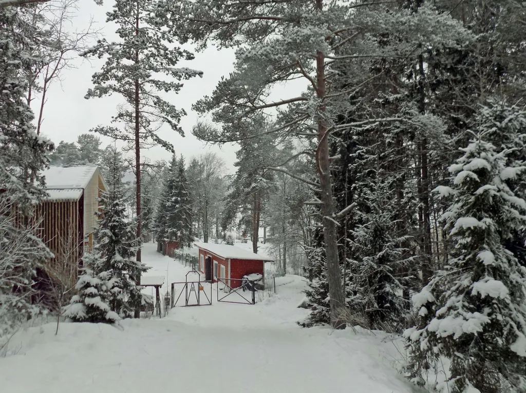 Коттедж Берег у леса