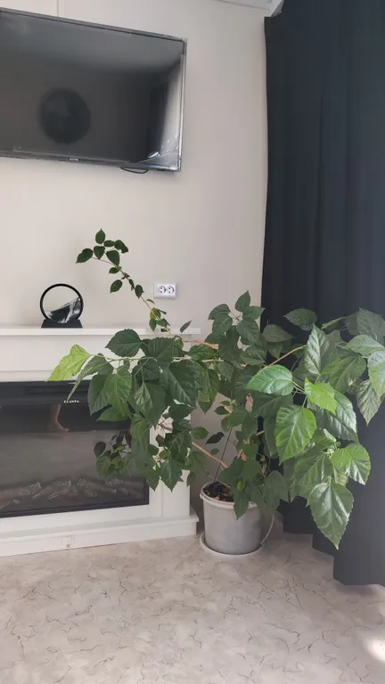 Уютная студия с камином рядом с озером