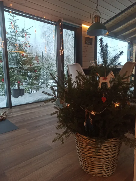 Шалфей хаус