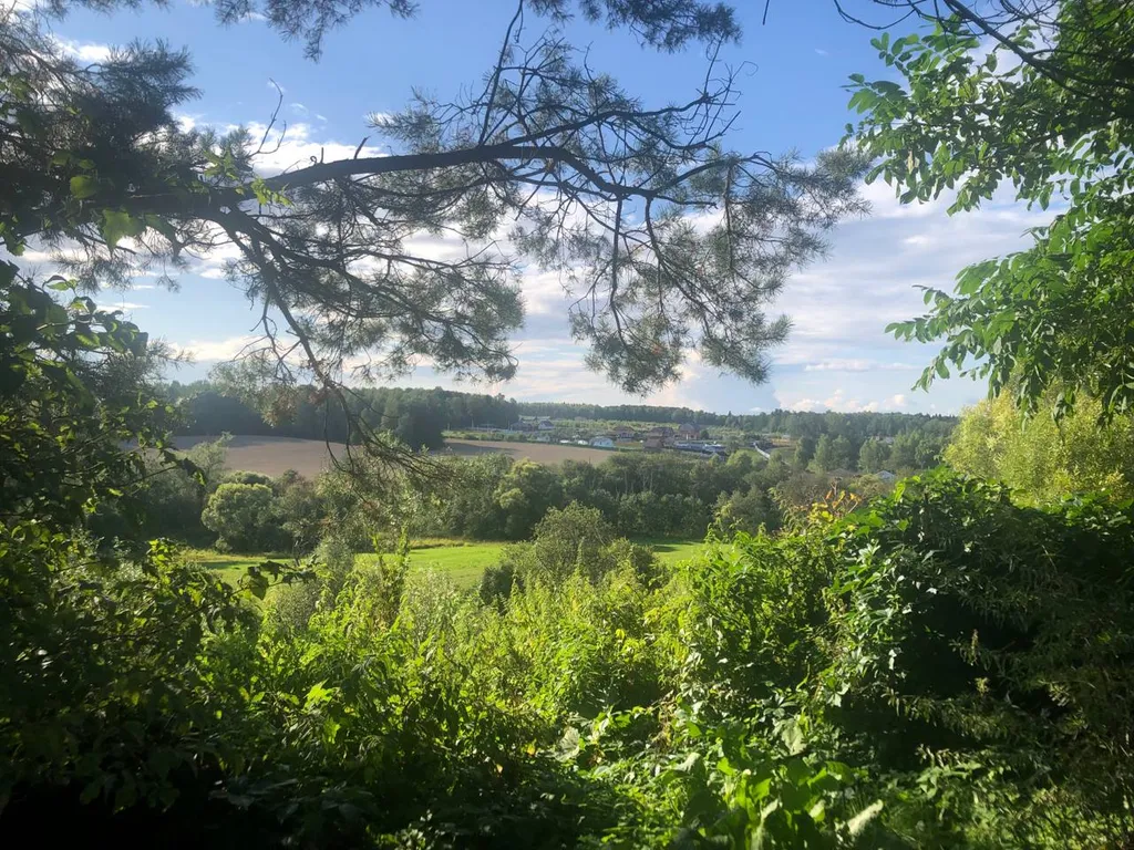 Дом под Боровском