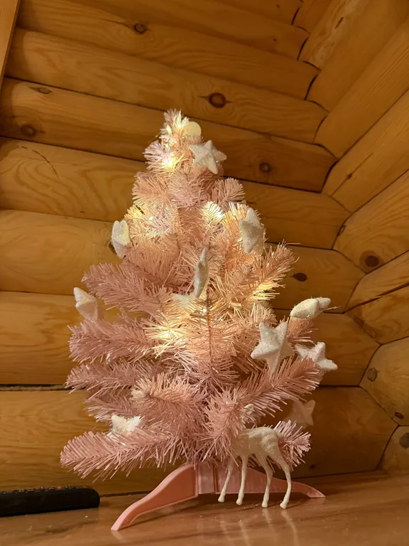 Коттедж 4-комнатный Дом — аренда посуточно в Парголово