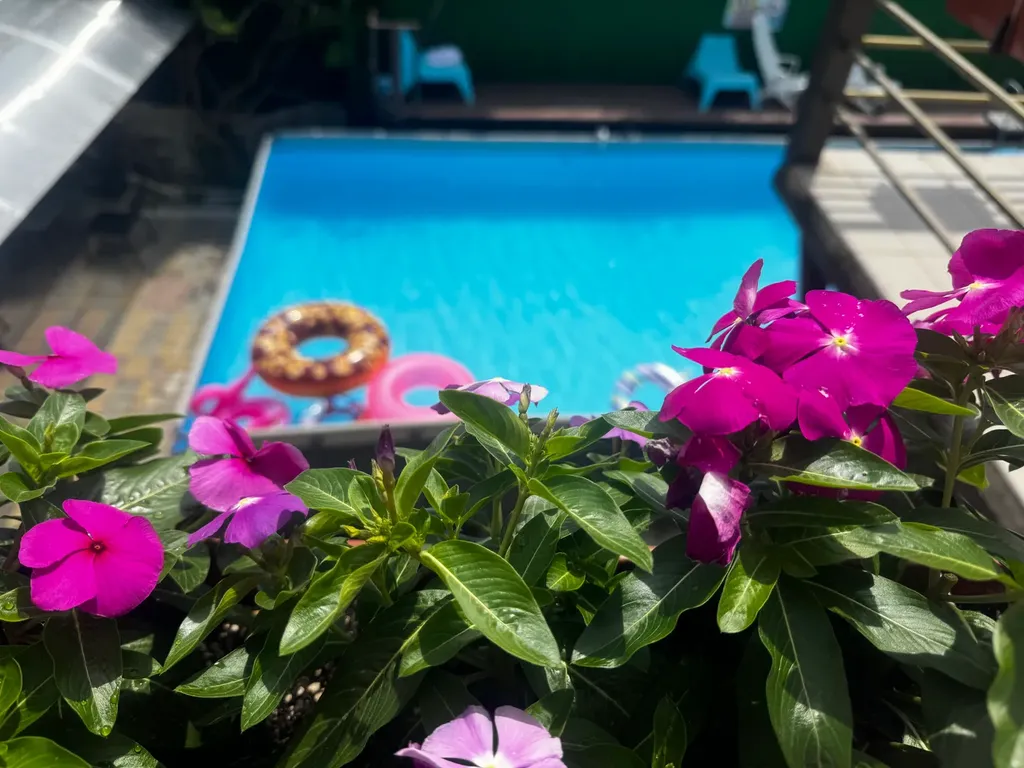 Четырехместный комфорт