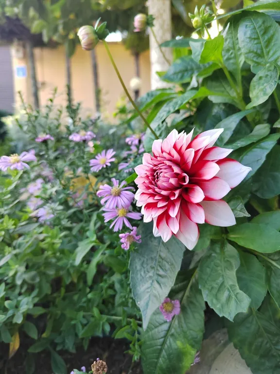 Коттедж Отдельная часть дома с беседкой рядом с парком и пляжем Учкуевка — Севастополь