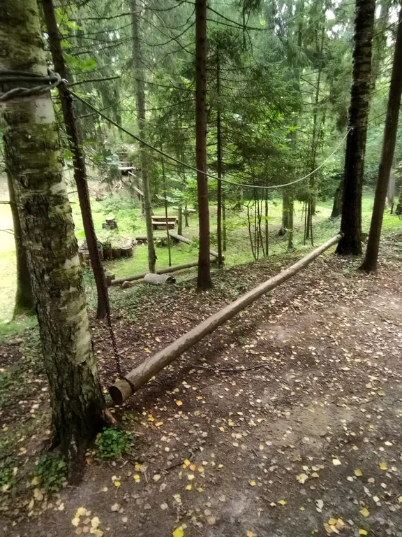 Коттедж Уютный дом в окружении векового леса — Рогачево