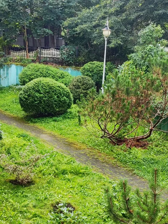 Квартира Отличная квартира у Дома Сказочника — Светлогорск