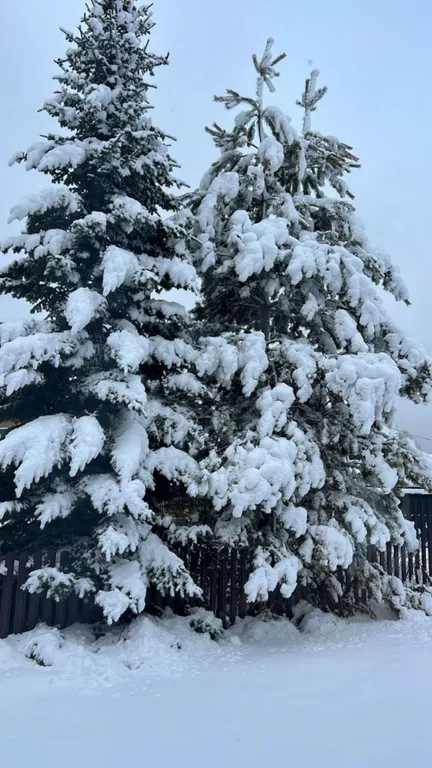 Новенький ЭКО-коттедж от фермера на берегу частных озёр: