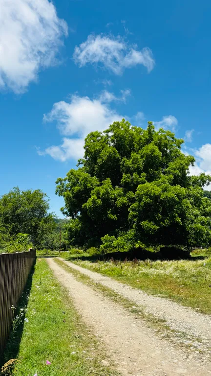 Дом-шалаш с собственной кухней Лдзаа