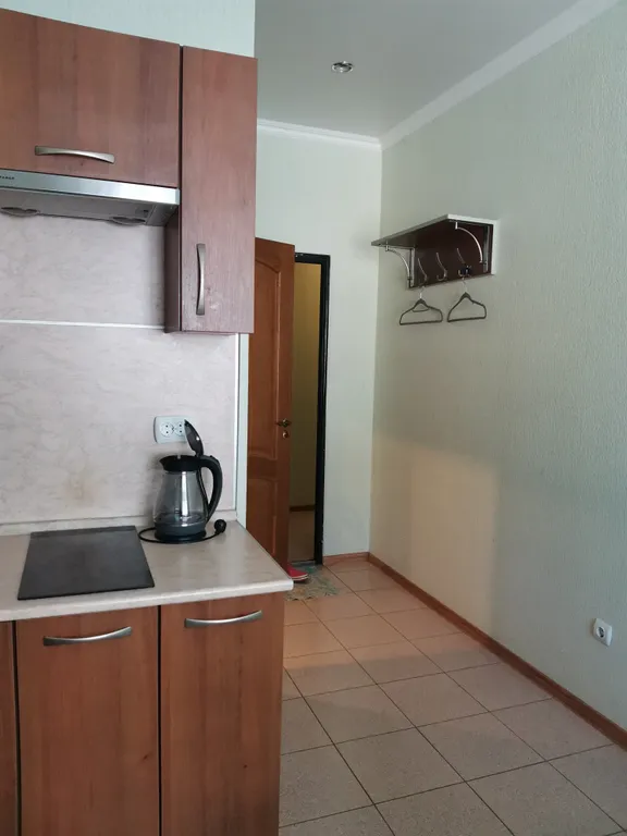 Уютная 1 комнатная квартира в тихом, красивом ущелье Домбая