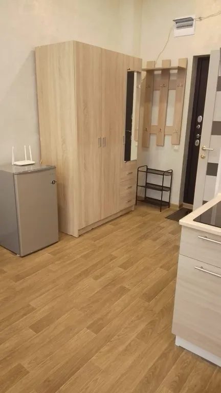 Квартира 1-комнатная Квартира — Сириус