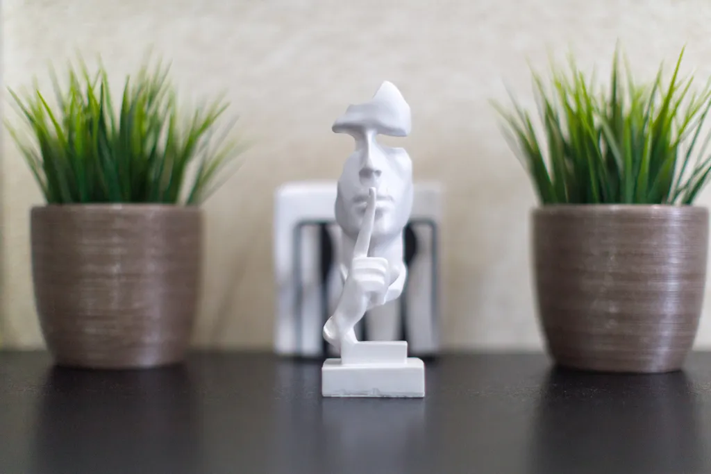 Гнёздышко Black с панорамным видом