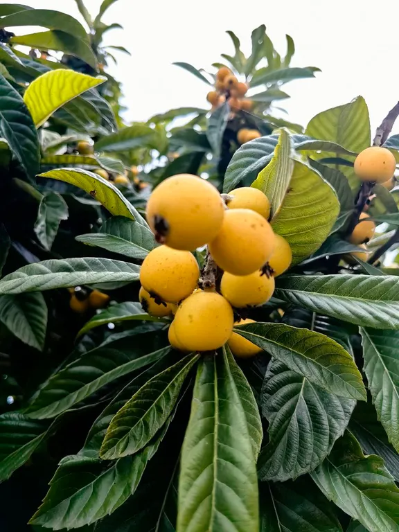 Дом под ключ в 5 минутах от моря