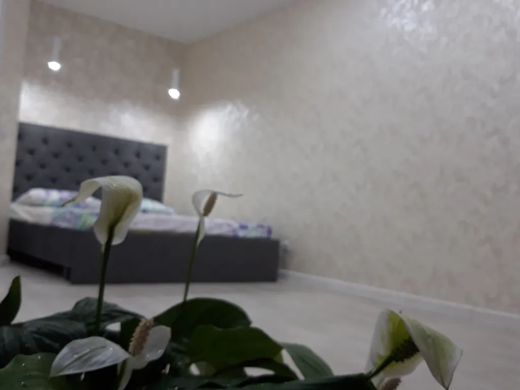 Уютная квартира в центре города.