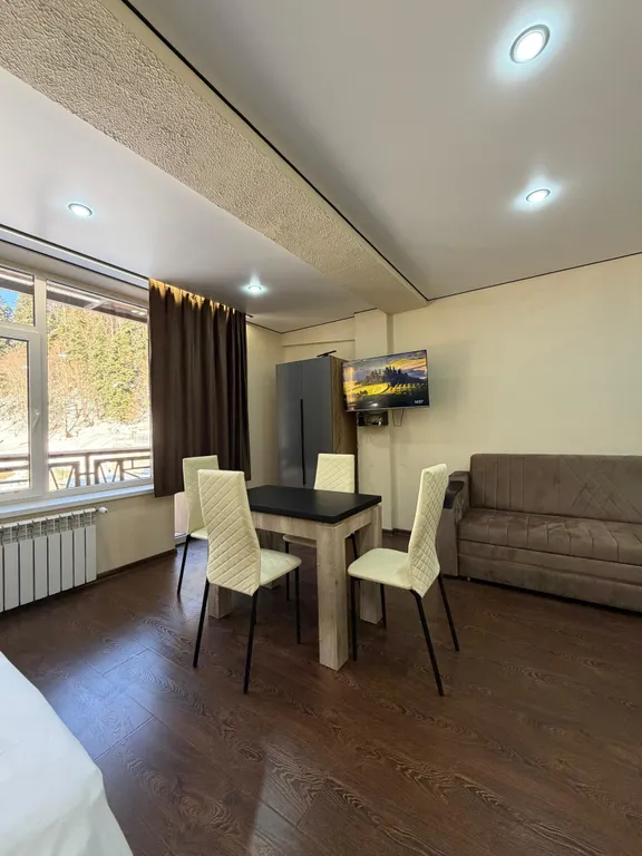 Квартира-студия с видом на горы