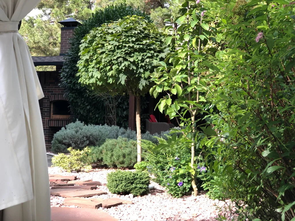 Апартаменты Делюкс 5 местные