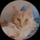 Яна