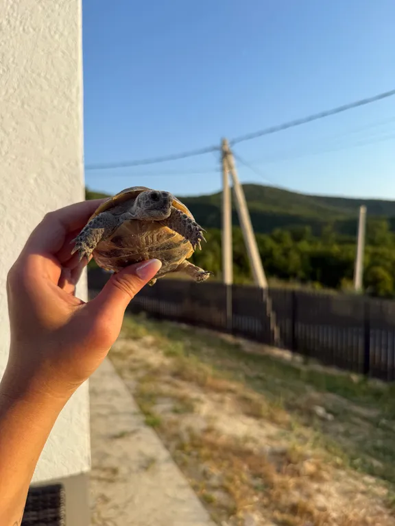 Дом на вершине с видом на море и горы