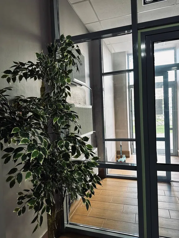 Апартаменты Галактика Мята