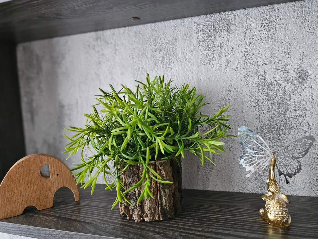 Апартамент Светлояр