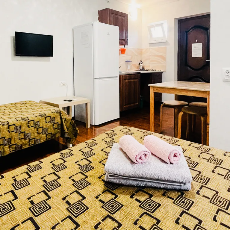 Квартира -студия