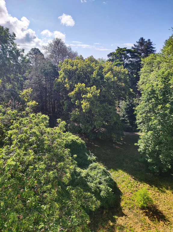 Квартира Квартира Студия в Парке № 3 — Сириус