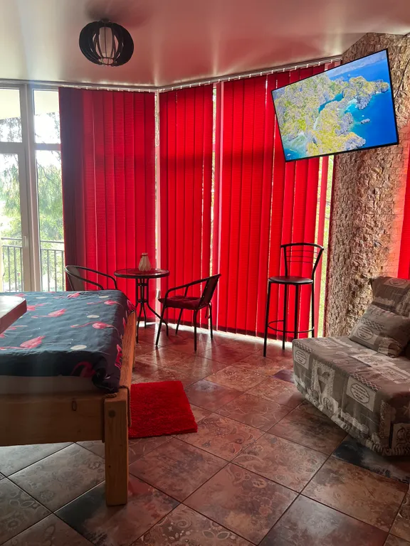 Студия с панорамными окнами и видом на горы