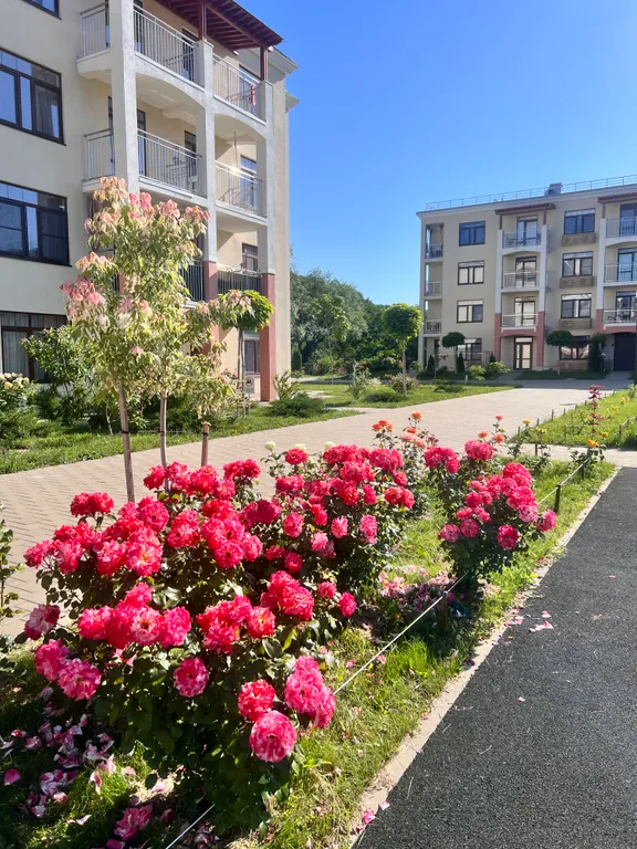 2к квартира с видом на бассейн ЖК «Кипарис»