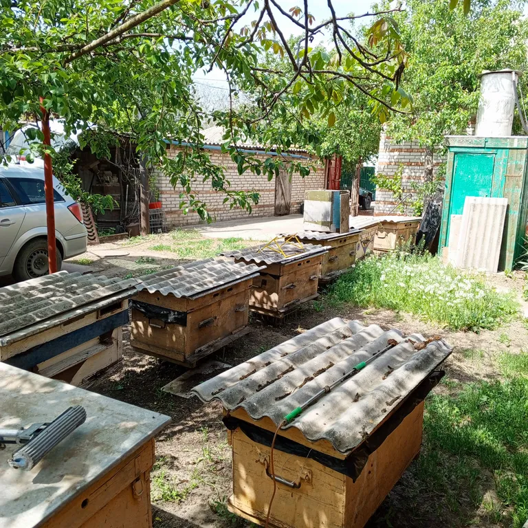 Гостевой домик Смайлик, по пути на море, р-н парка Лога