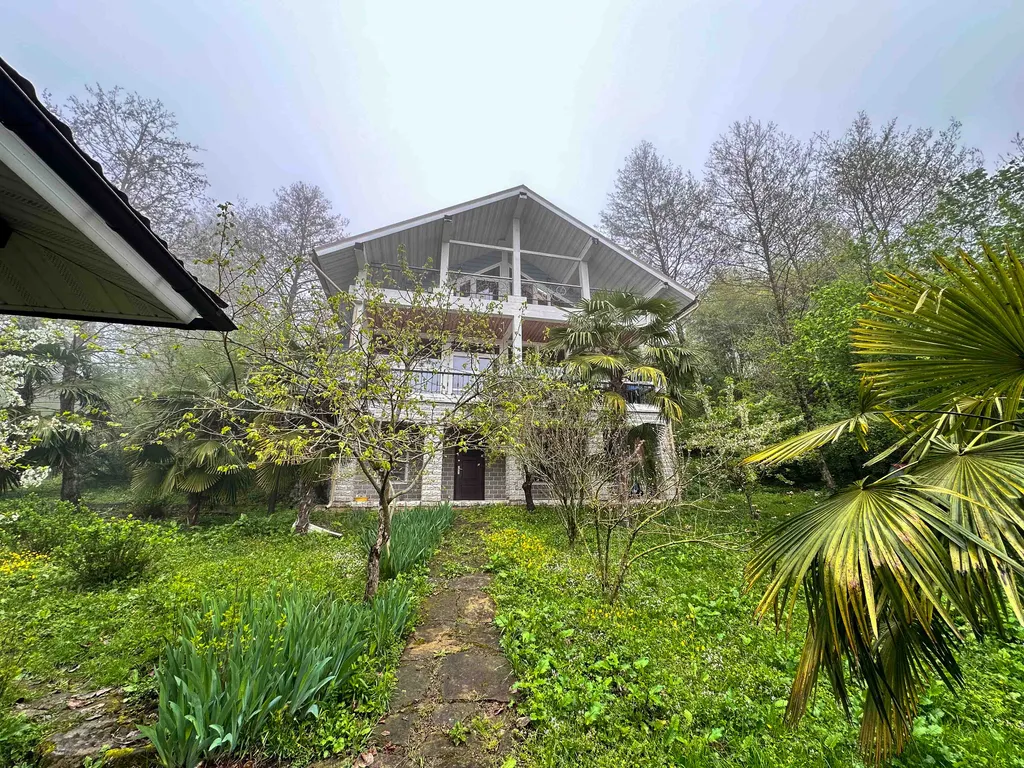 Дом в горах 38 соток