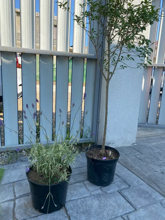 Ваша дача на море Витязево 3