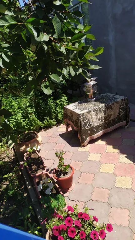 Дом, все в нем!