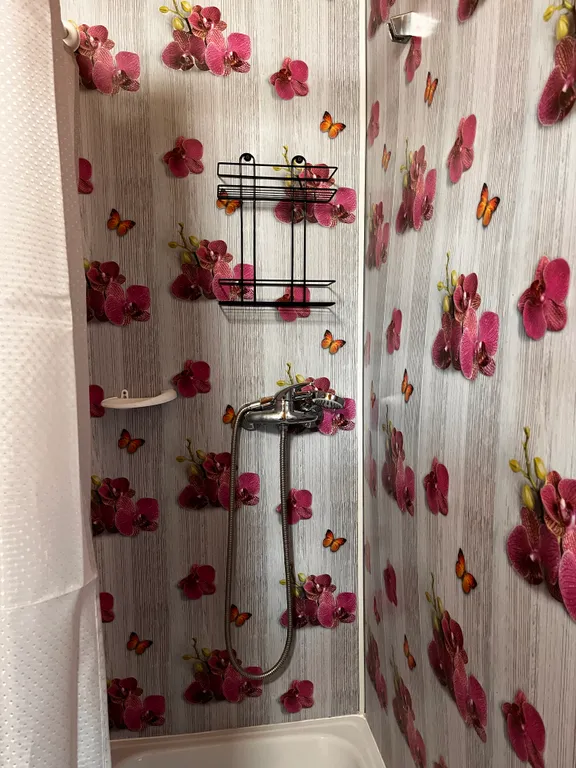 Отдых у Тоши