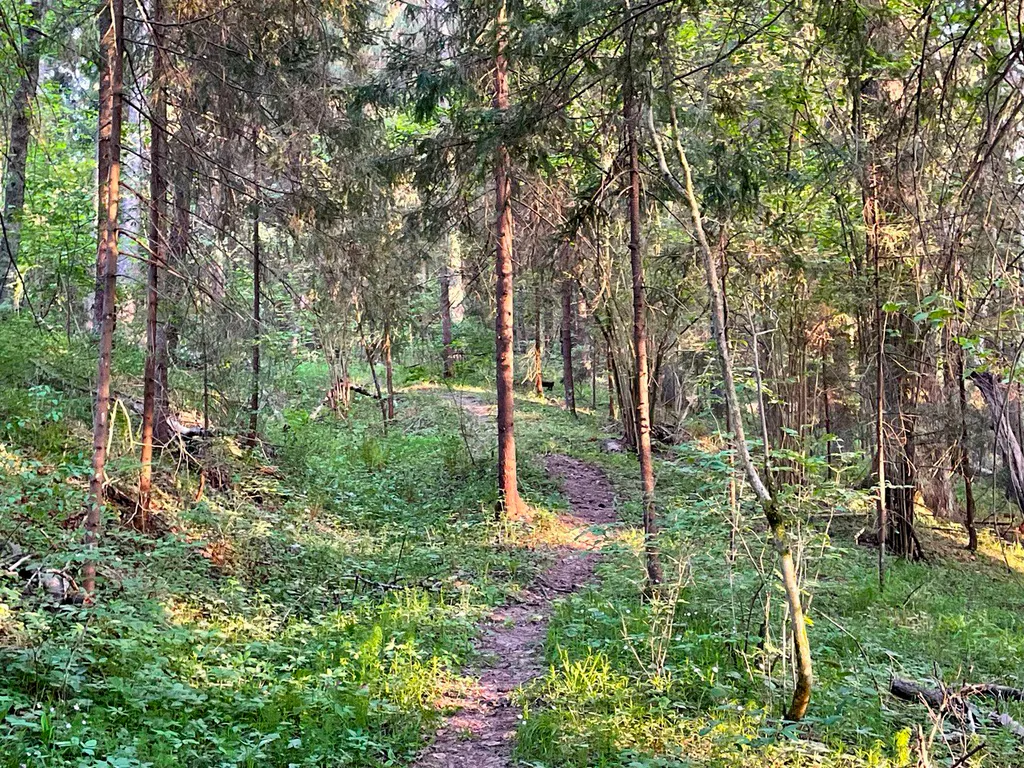 Коттедж Сказочный Шале с камином и джакузи в живописном лесу — Шадрино