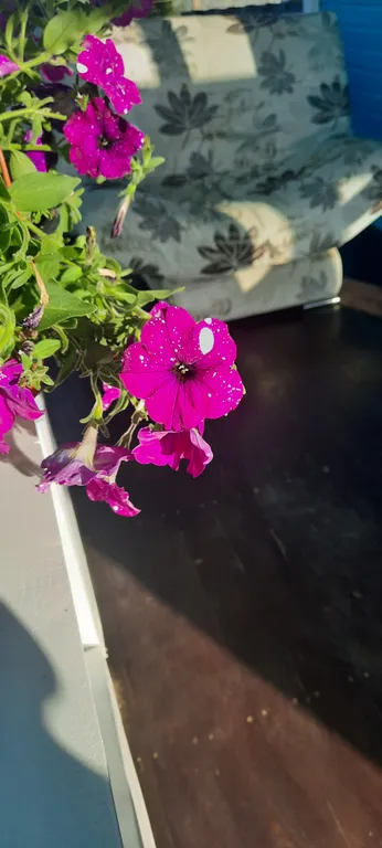 Коттедж Дом со своим отдельным двором — Кучугуры