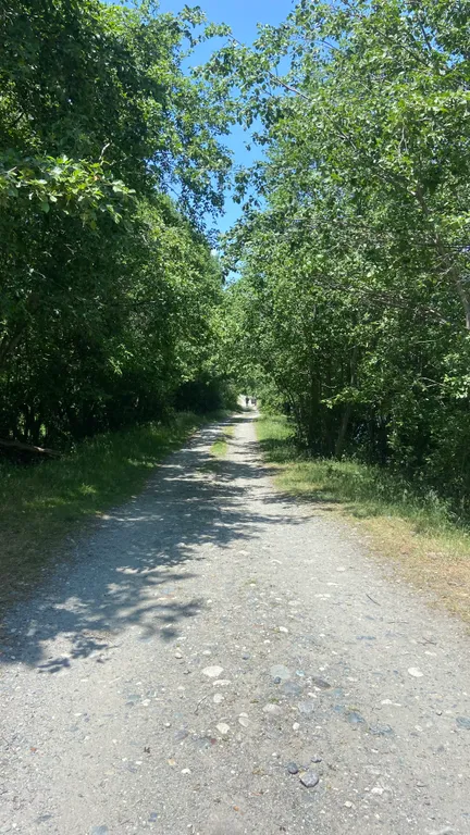 Домики у реки Теберда