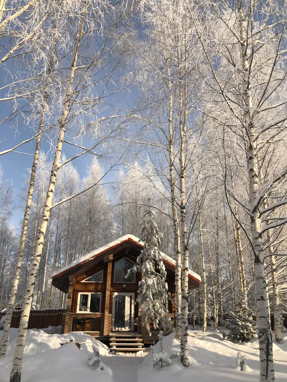 Уютный домик в лесу