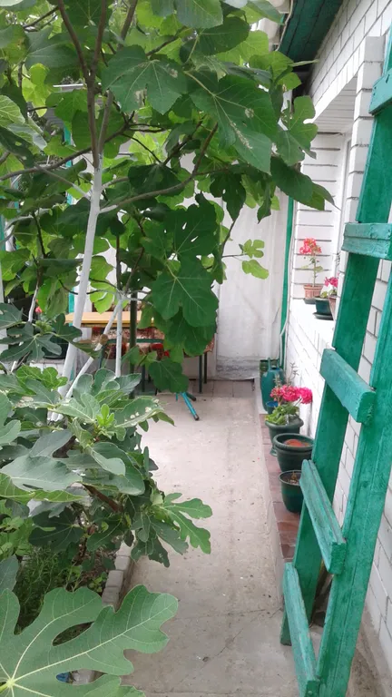 Уютная однокомнатная квартира с зеленым двором