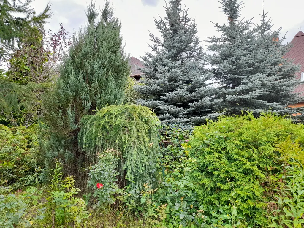 Дом с баней