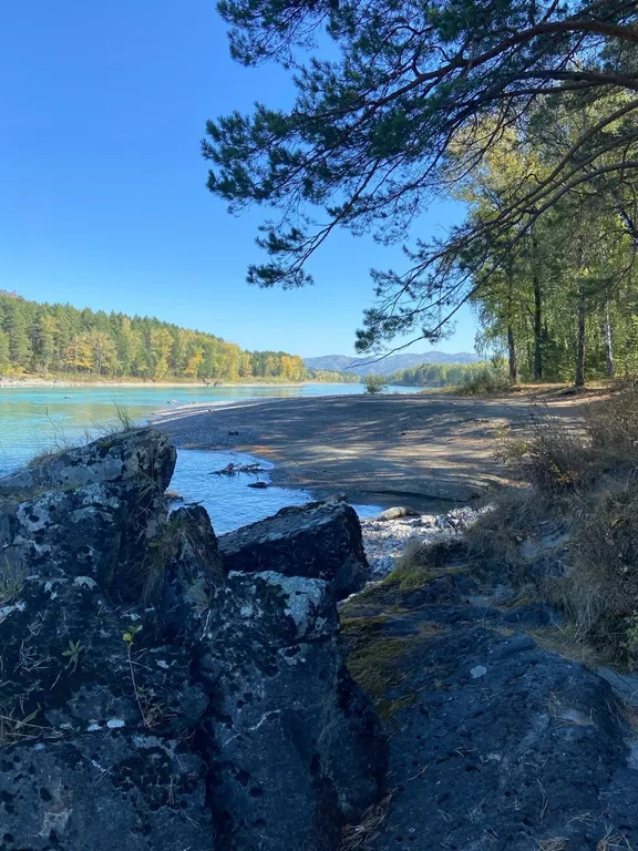 Гостевой домик на берегу Катуни