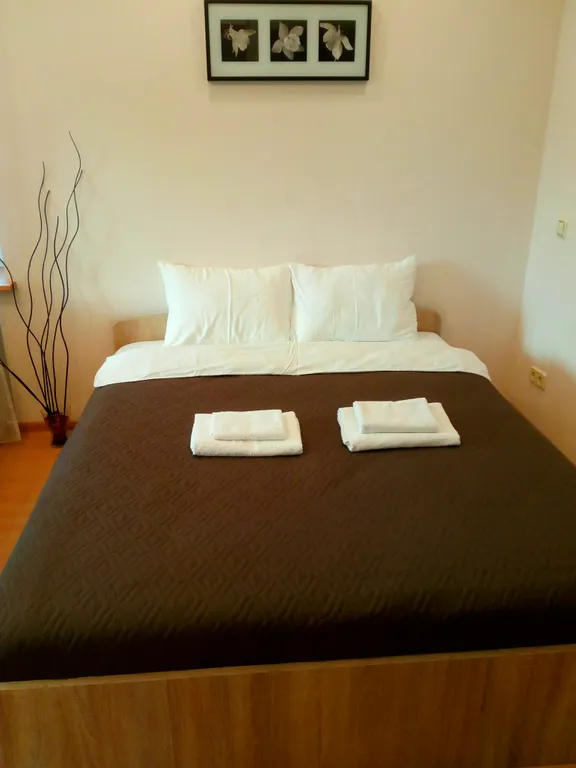 1-комнатная Квартира — аренда посуточно в Балашиха