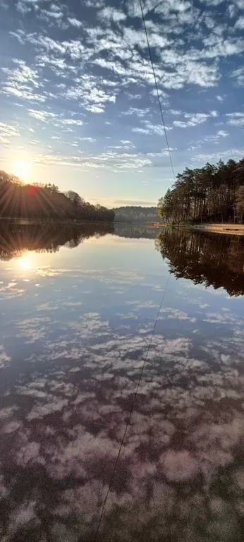 Квартира Уютная квартира у моря — Светлогорск