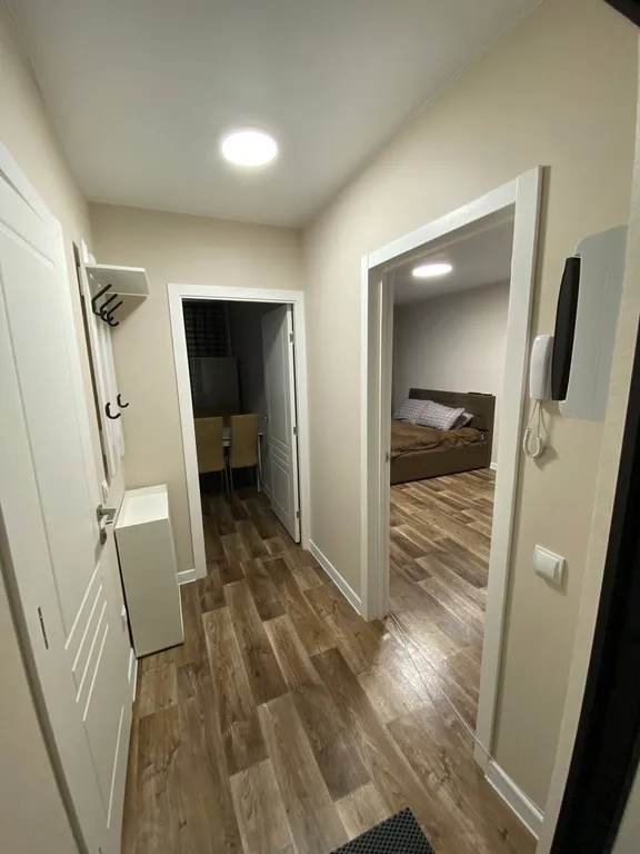 Уютная однокомнатная квартира