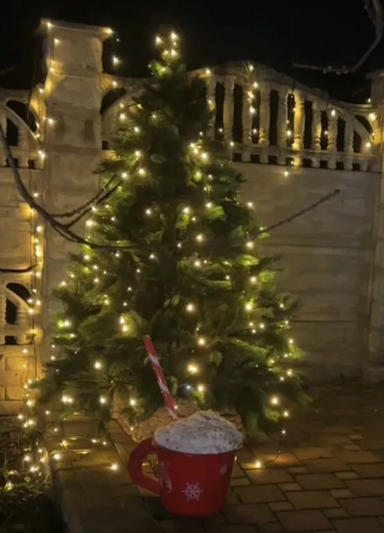 Коттедж 2-комнатный Дом — аренда посуточно в Майкоп