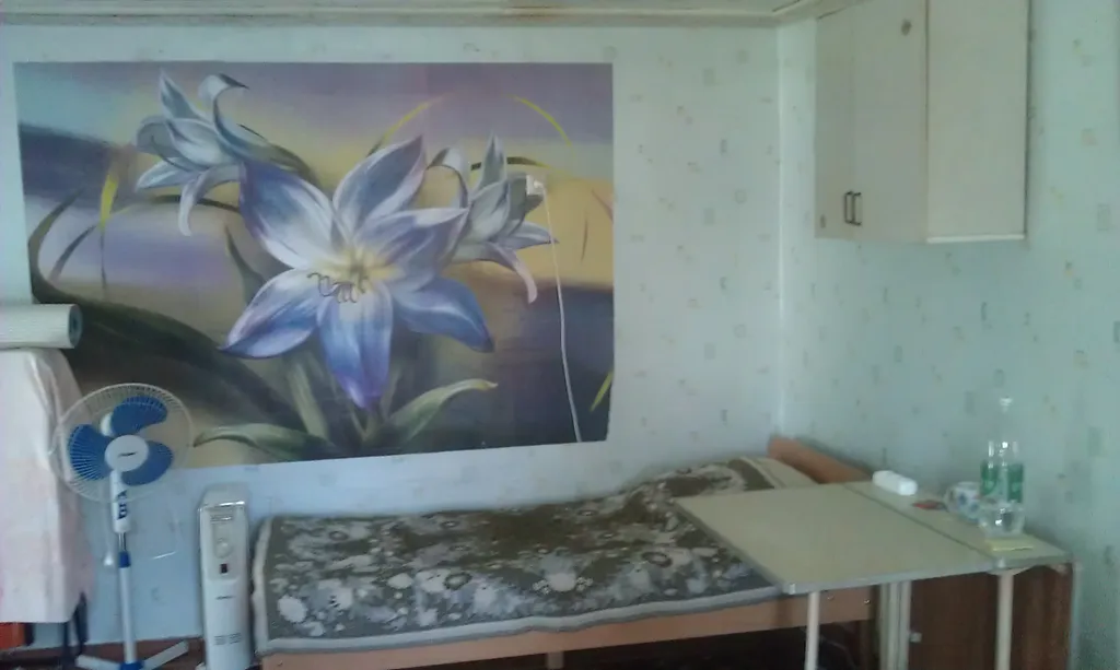 Дача Белая чайка